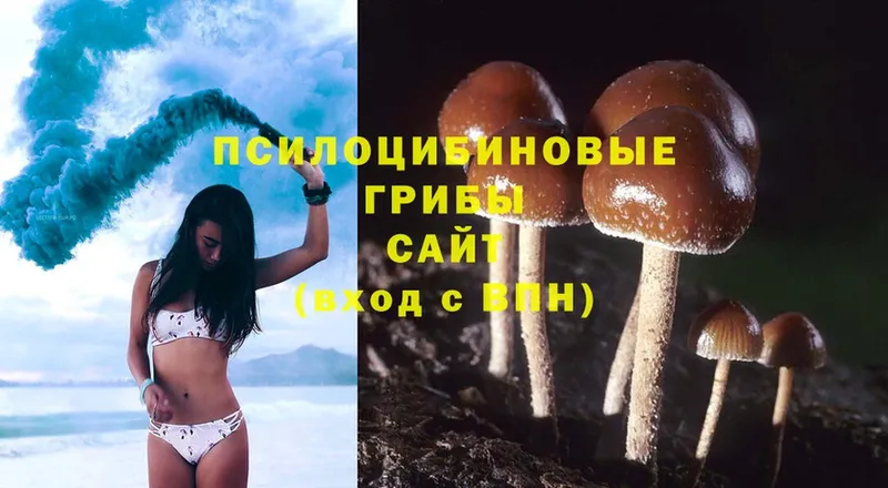 Галлюциногенные грибы Cubensis  ссылка на мегу ТОР  Иркутск 